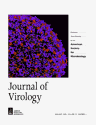 Journal of Virology
